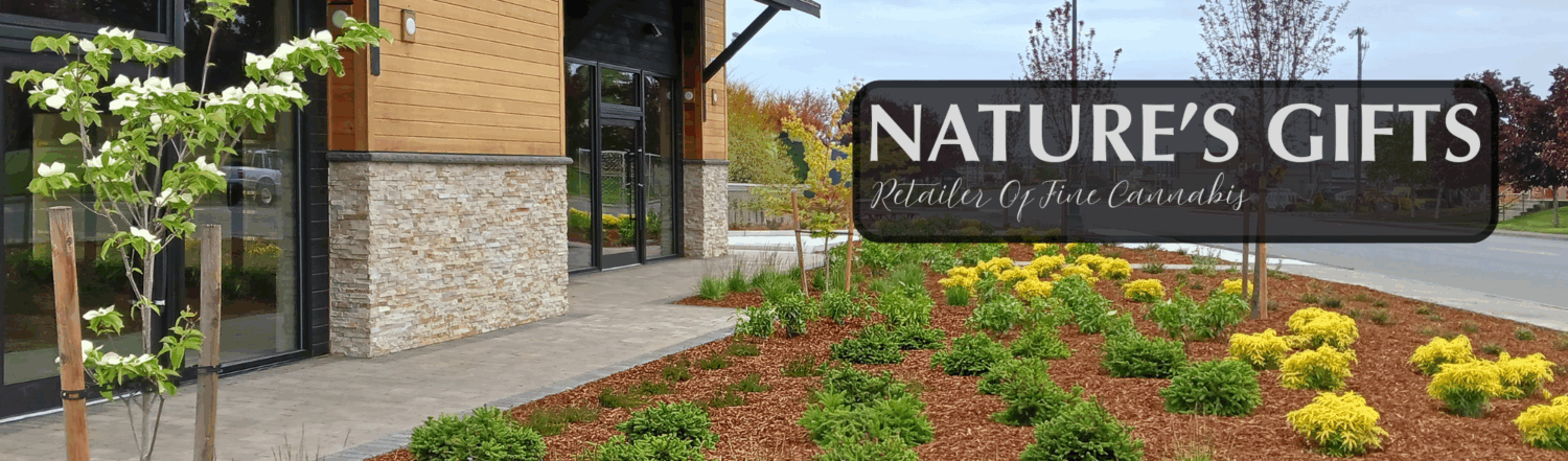 Header Image - navigate to homepage
